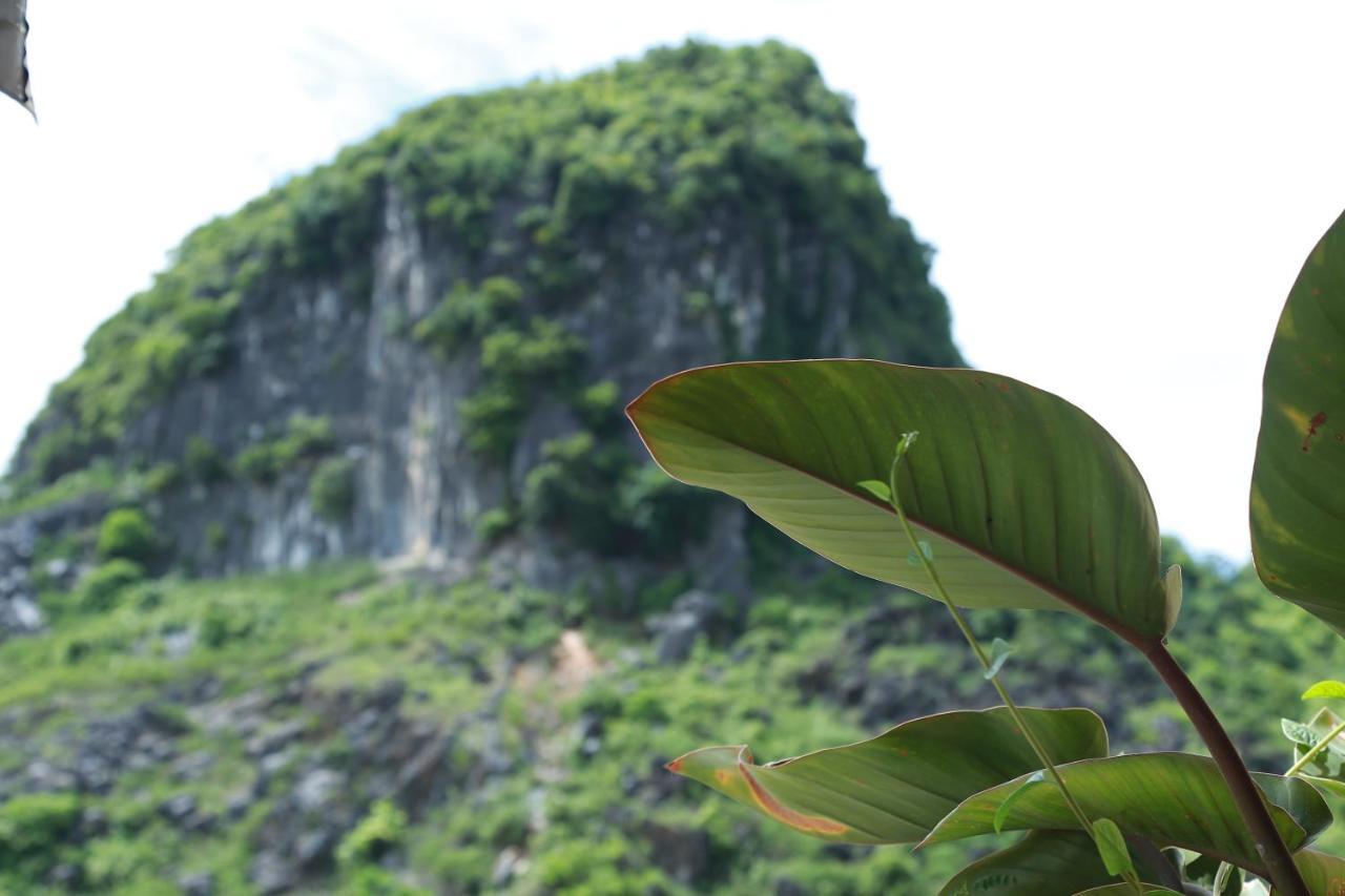 Thanh Phat Phong Nha 호텔 외부 사진